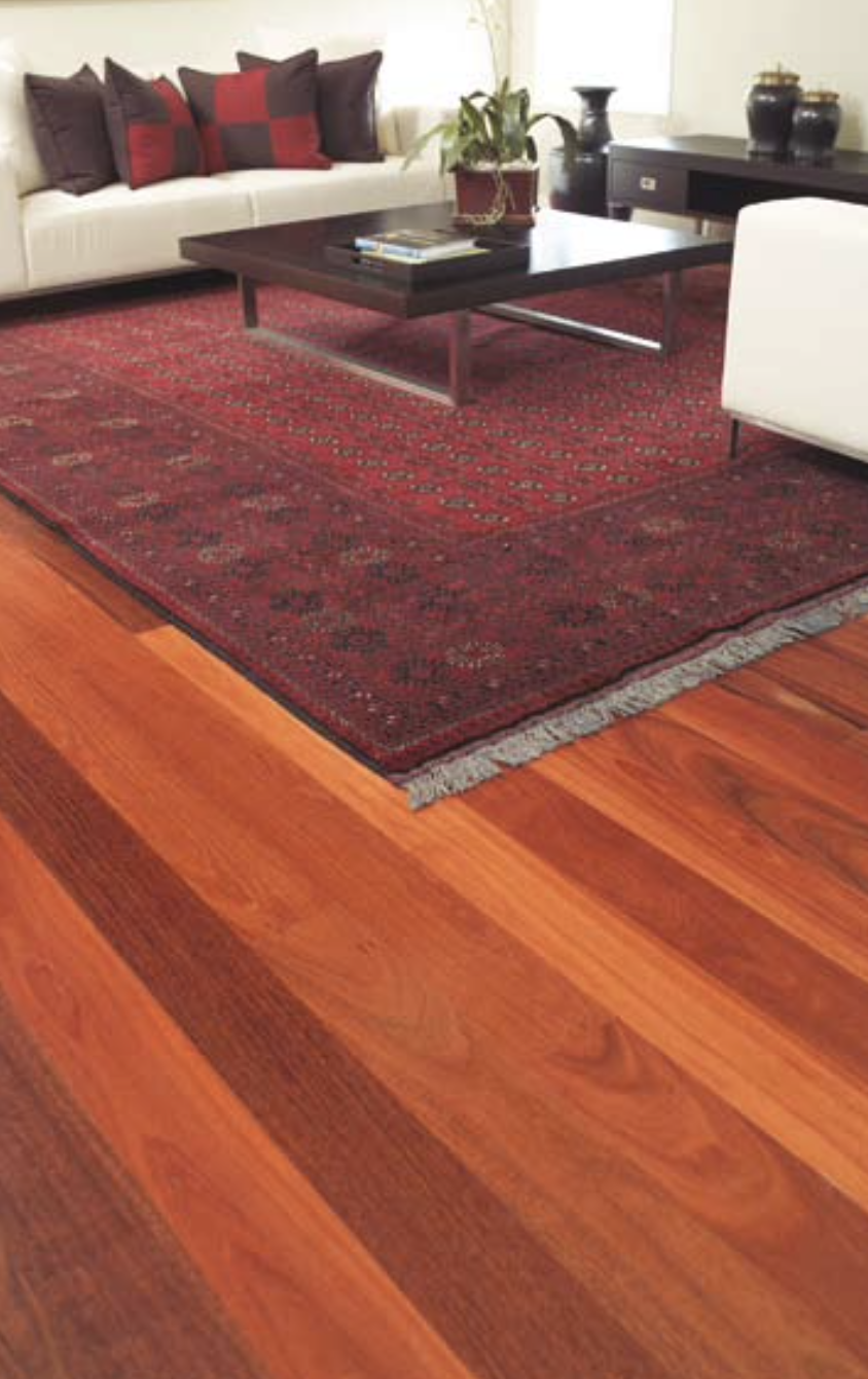 Species feature: Jarrah